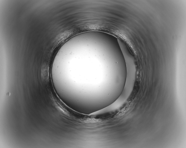 X0000086950397200704301222