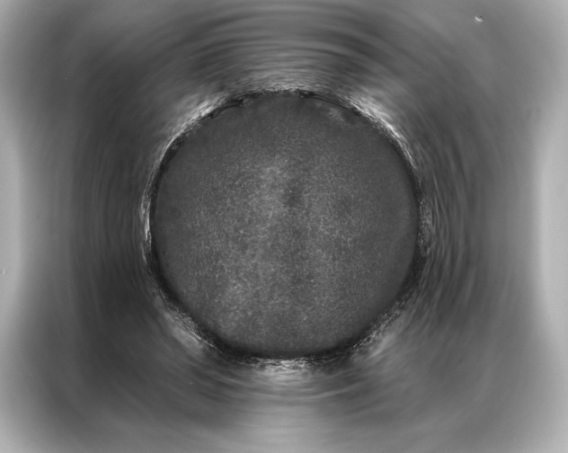 X0000086950398200704301222