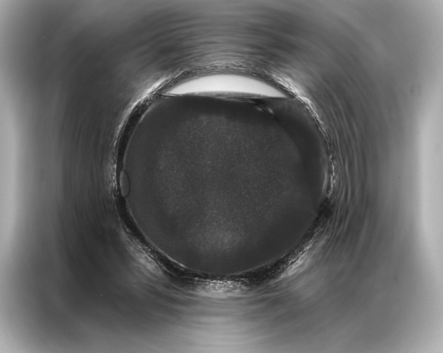 X0000086950399200704301222