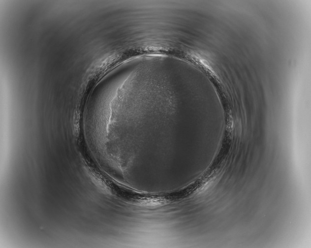 X0000086950402200704301222