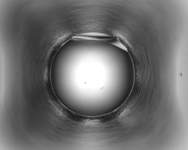 X0000086950403200704301222