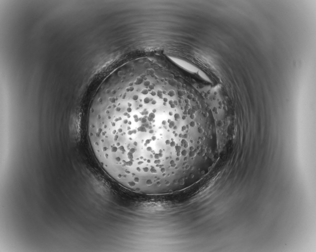 X0000086950404200704301222