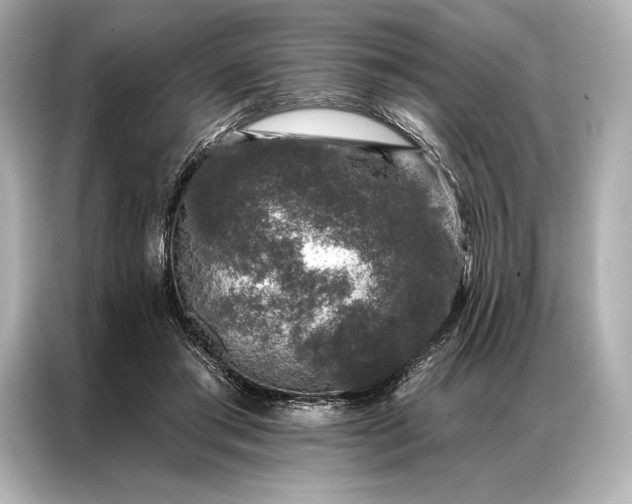 X0000086950405200704301222