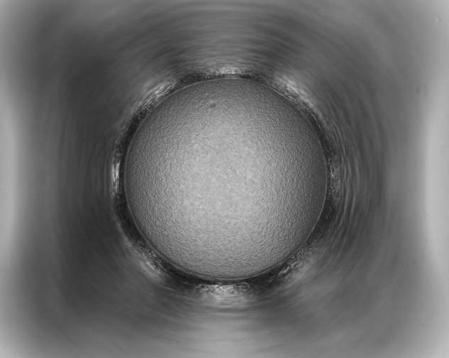 X0000086950406200704301222