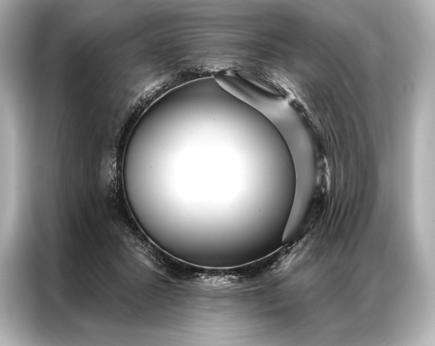 X0000086950407200704301221