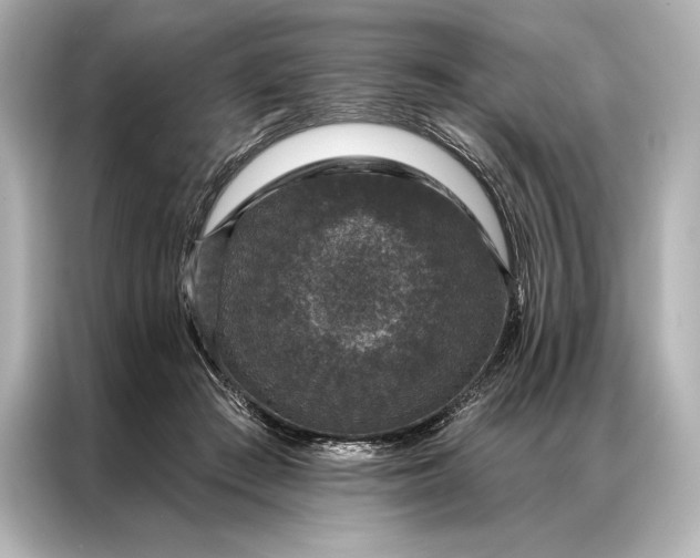 X0000086950409200704301221