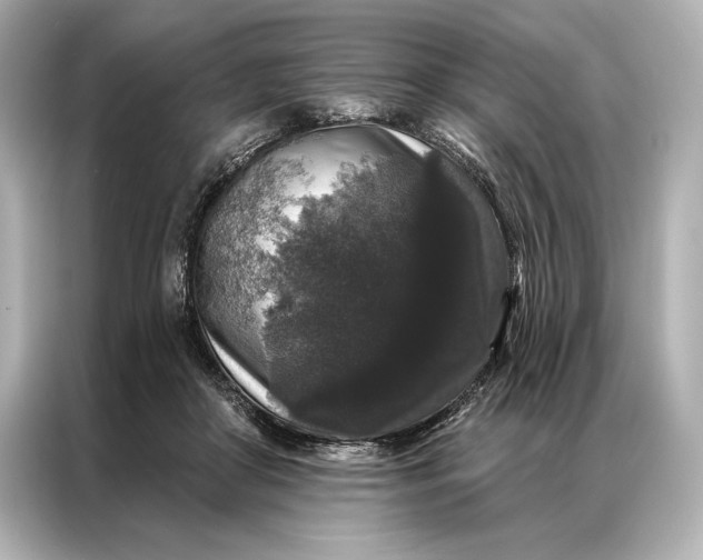 X0000086950410200704301221