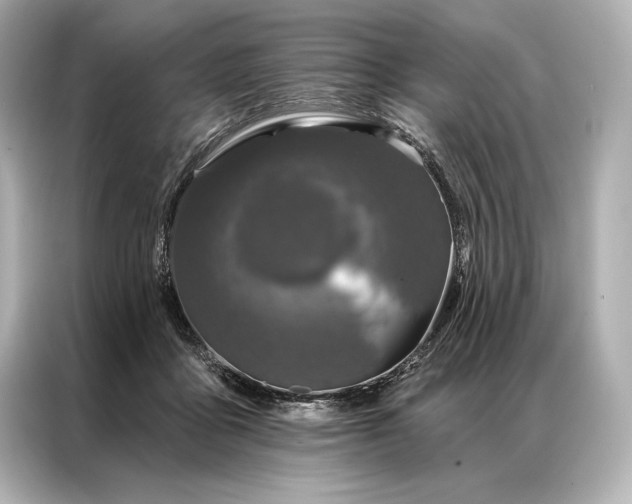 X0000086950411200704301221