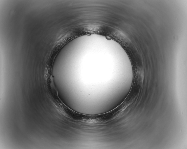 X0000086950412200704301221