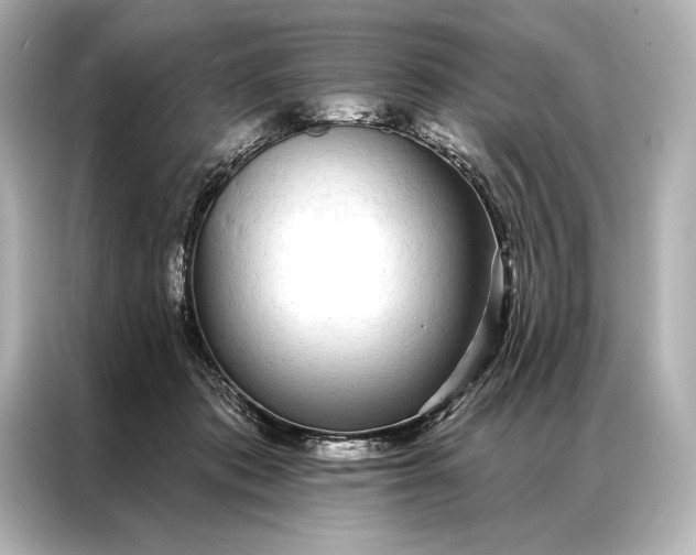 X0000086950413200704301221