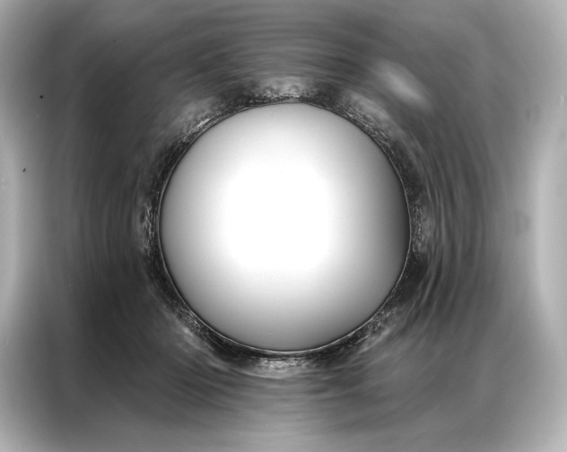 X0000086950414200704301221