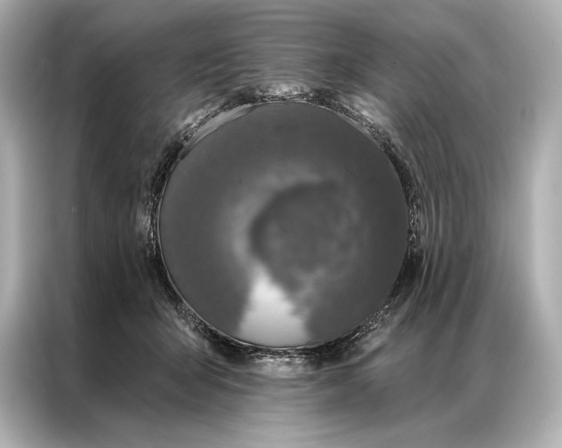 X0000086950415200704301221