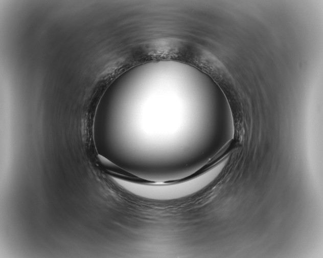 X0000086950416200704301221