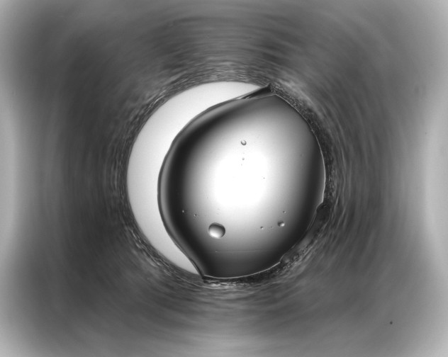 X0000086950417200704301221