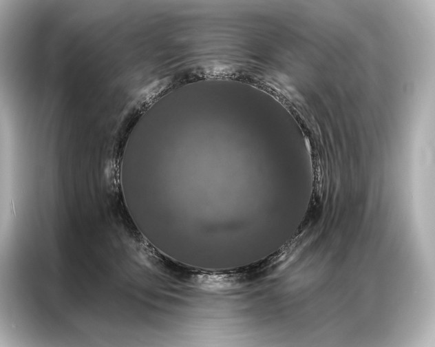 X0000086950419200704301221