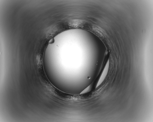 X0000086950420200704301221