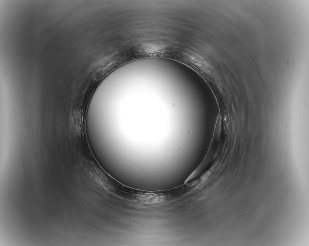 X0000086950421200704301221