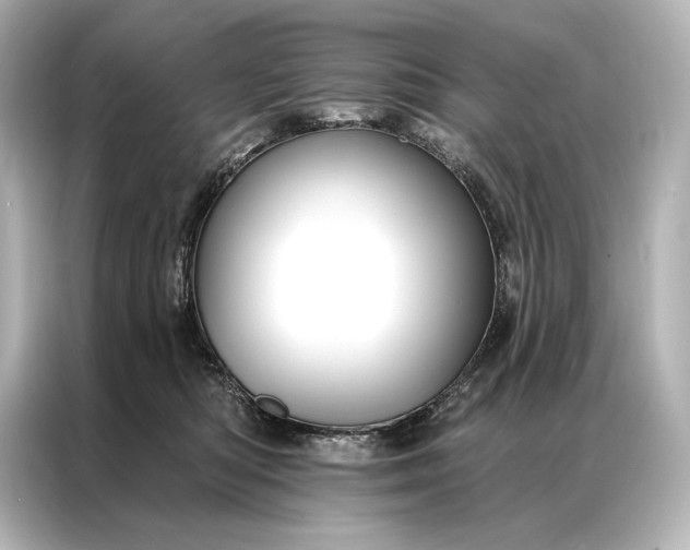 X0000086950422200704301221