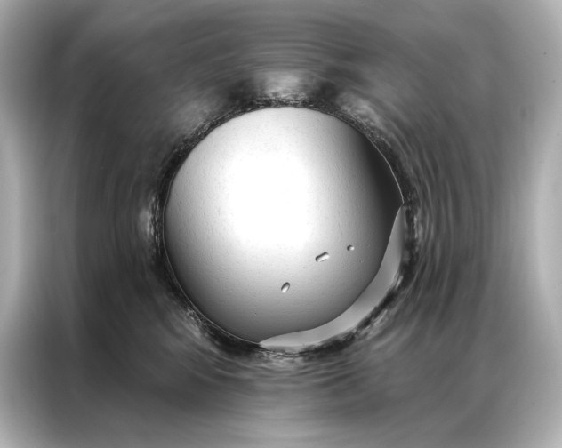 X0000086950424200704301221