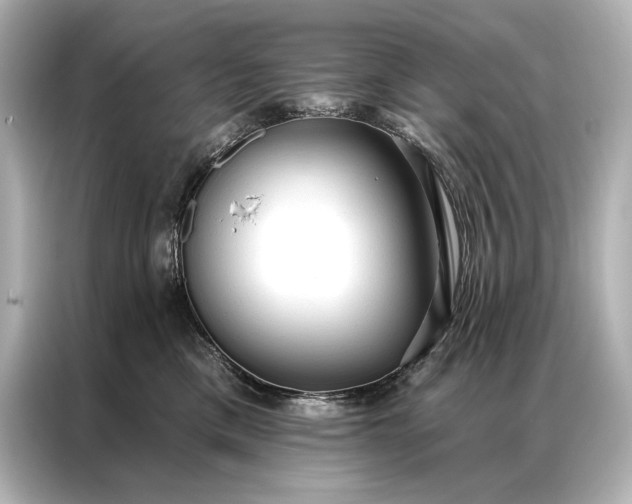 X0000086950425200704301221