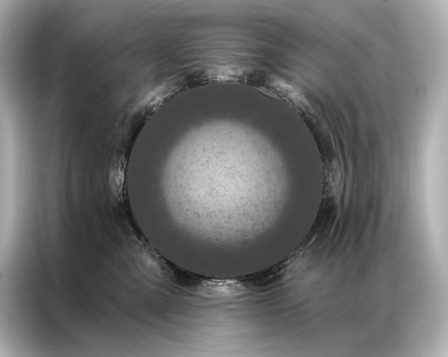 X0000086950427200704301221