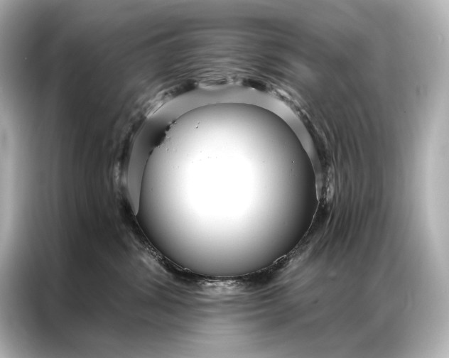 X0000086950428200704301221