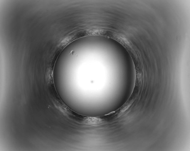 X0000086950429200704301221