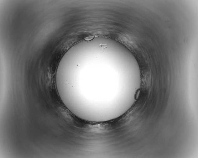 X0000086950430200704301221