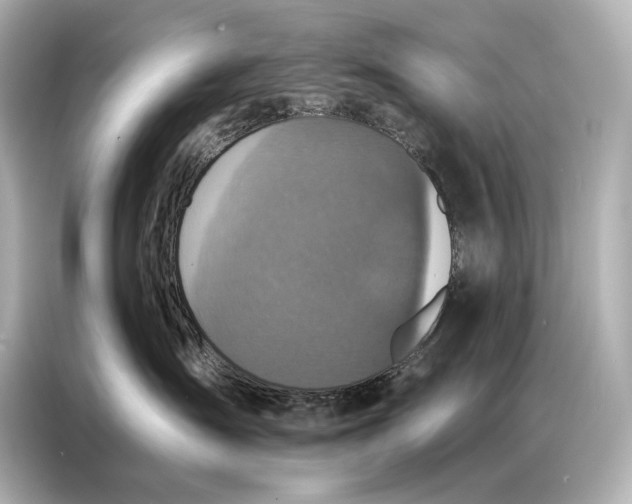 X0000086950431200704301221