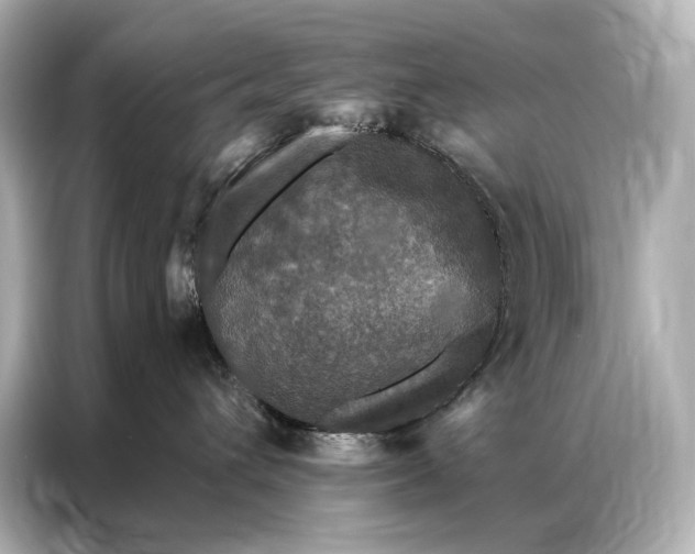 X0000086950432200704301221