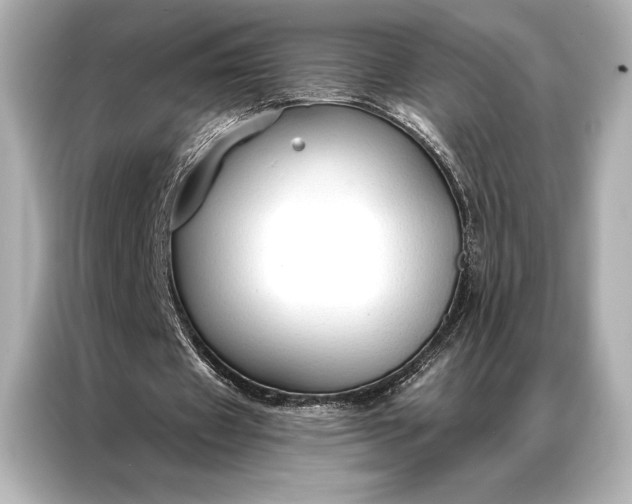 X0000086950433200704301221