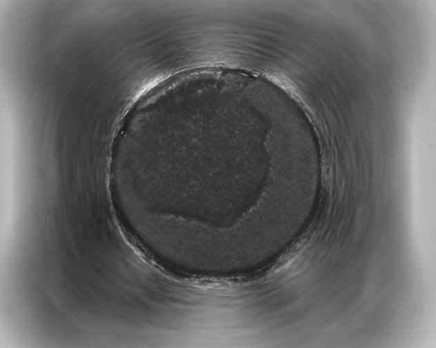 X0000086950434200704301221