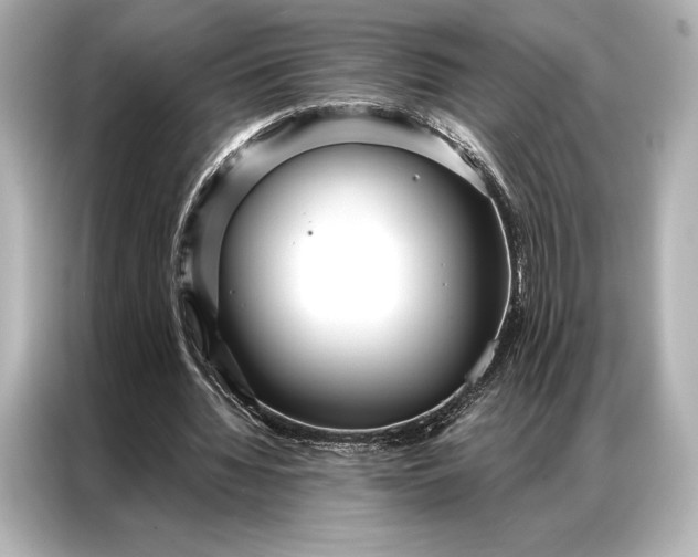 X0000086950436200704301221