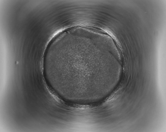 X0000086950438200704301221