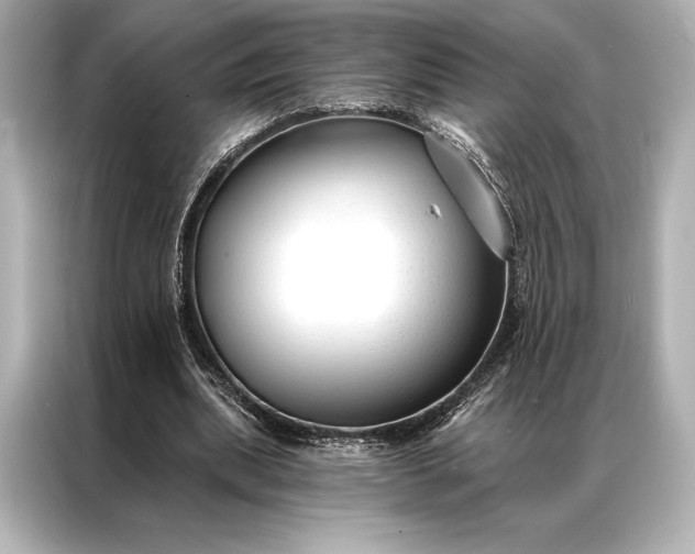 X0000086950439200704301221