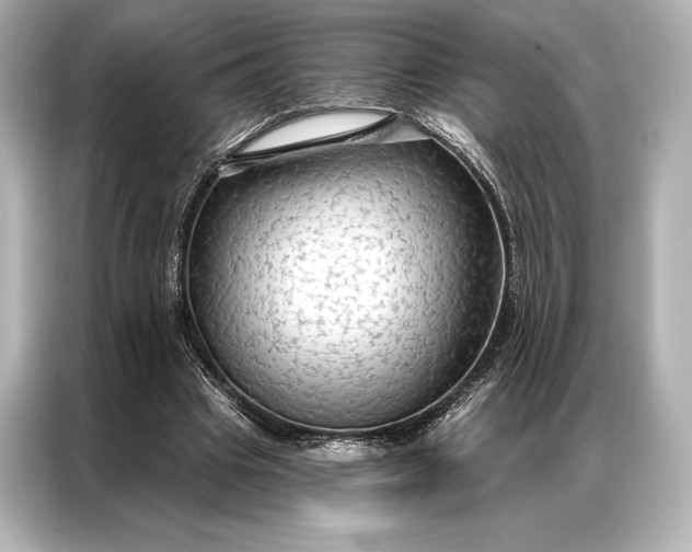 X0000086950441200704301221