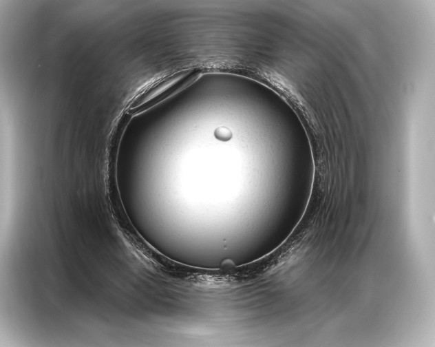 X0000086950442200704301221