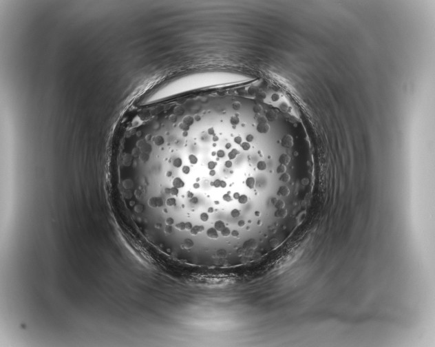 X0000086950443200704301221