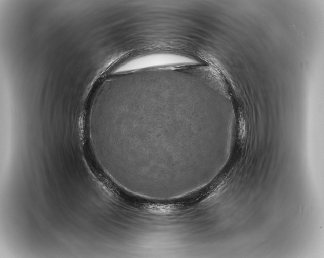 X0000086950444200704301221