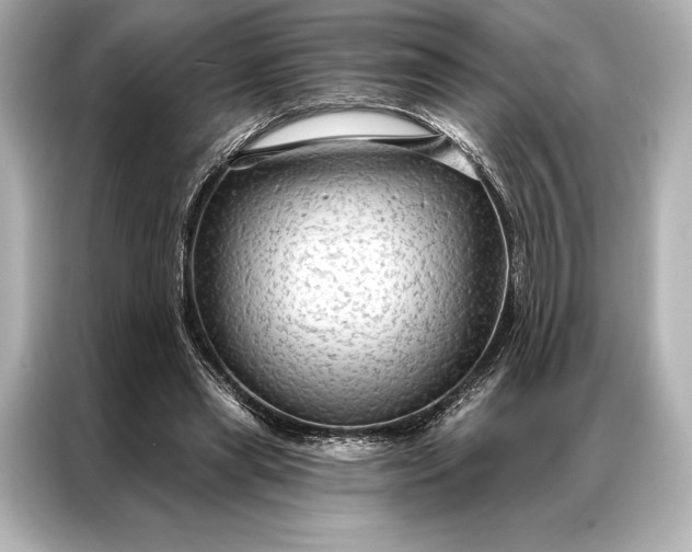 X0000086950445200704301221