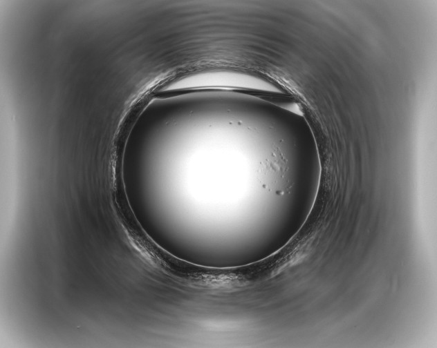 X0000086950446200704301221