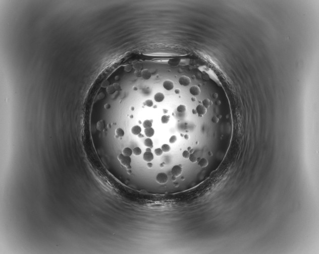 X0000086950447200704301221