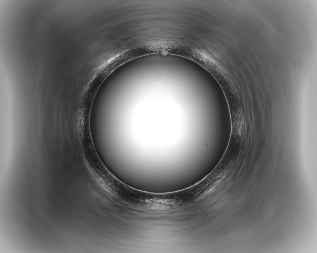 X0000086950448200704301221