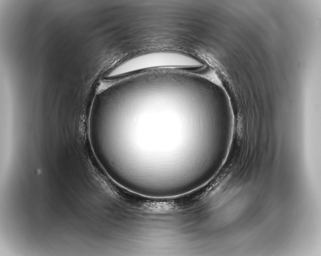 X0000086950449200704301221