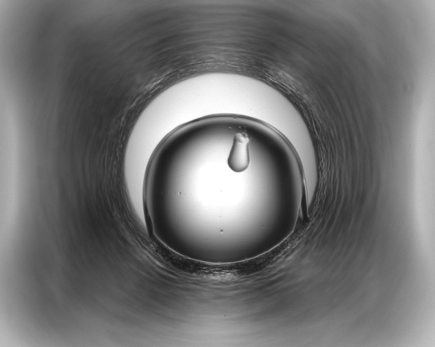 X0000086950456200704301221