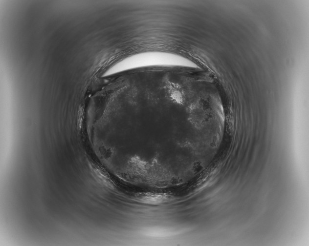 X0000086950458200704301221