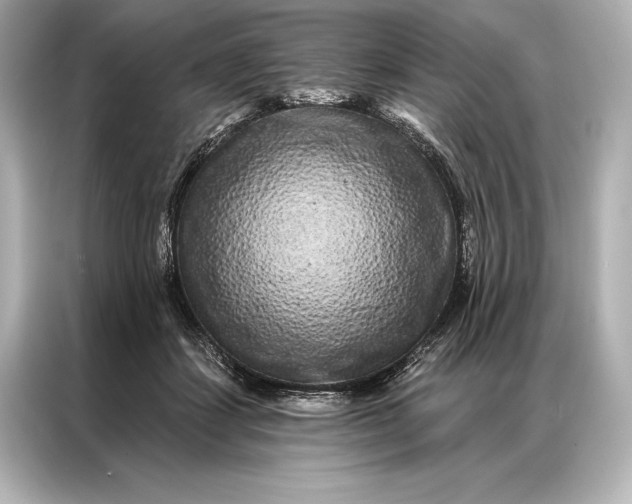 X0000086950459200704301221