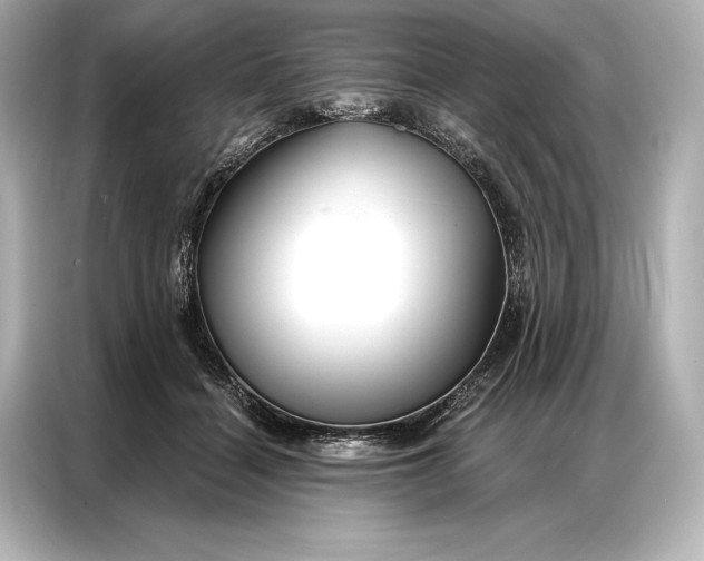 X0000086950460200704301221