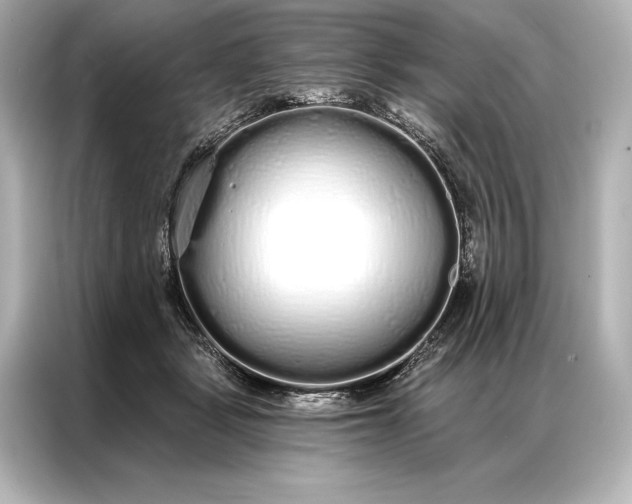 X0000086950461200704301221