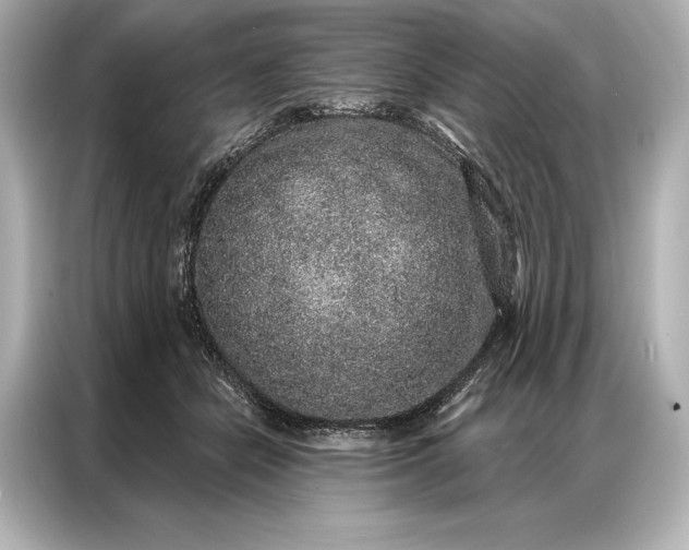 X0000086950462200704301221